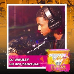 Nights In Napa Official Wildcard Mix | DJ Wauley | @Wauley1 @Nightsinparties ⛱