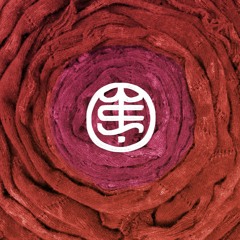 Agony Of The Honest Mirror