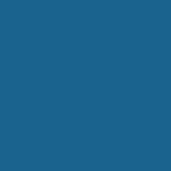Puma Blue