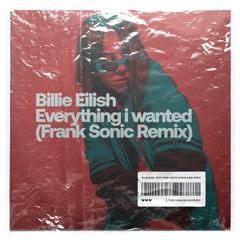 Billie Eilish - Everything I Wanted (Frank Sonic Remix)