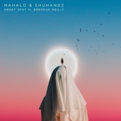 Mahalo & Shuhandz - Sweet Spot Feat. Brendan Reilly