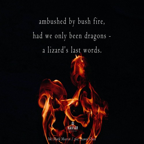 halF dragoN [naviarhaiku315]