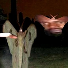 Bubbles Buried In This Jungle But MC Ride Forgot The Lyrics And Is Feeling Uncomfortable