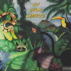 LA VIDA SIMPLE - PAPI GOYO (prod. GARABATO)