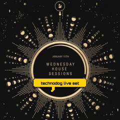 Celeste -technodog live set January 15