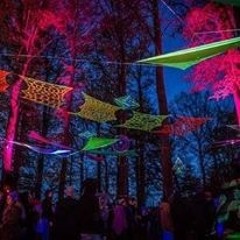 PARADOX @ HEXENTANZ FESTIVAL (2014)