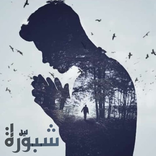 Adel Halwasa || شبورة ليل ||