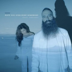 Sebu feat. Sirusho Have You Ever Hurt Somebody 2020