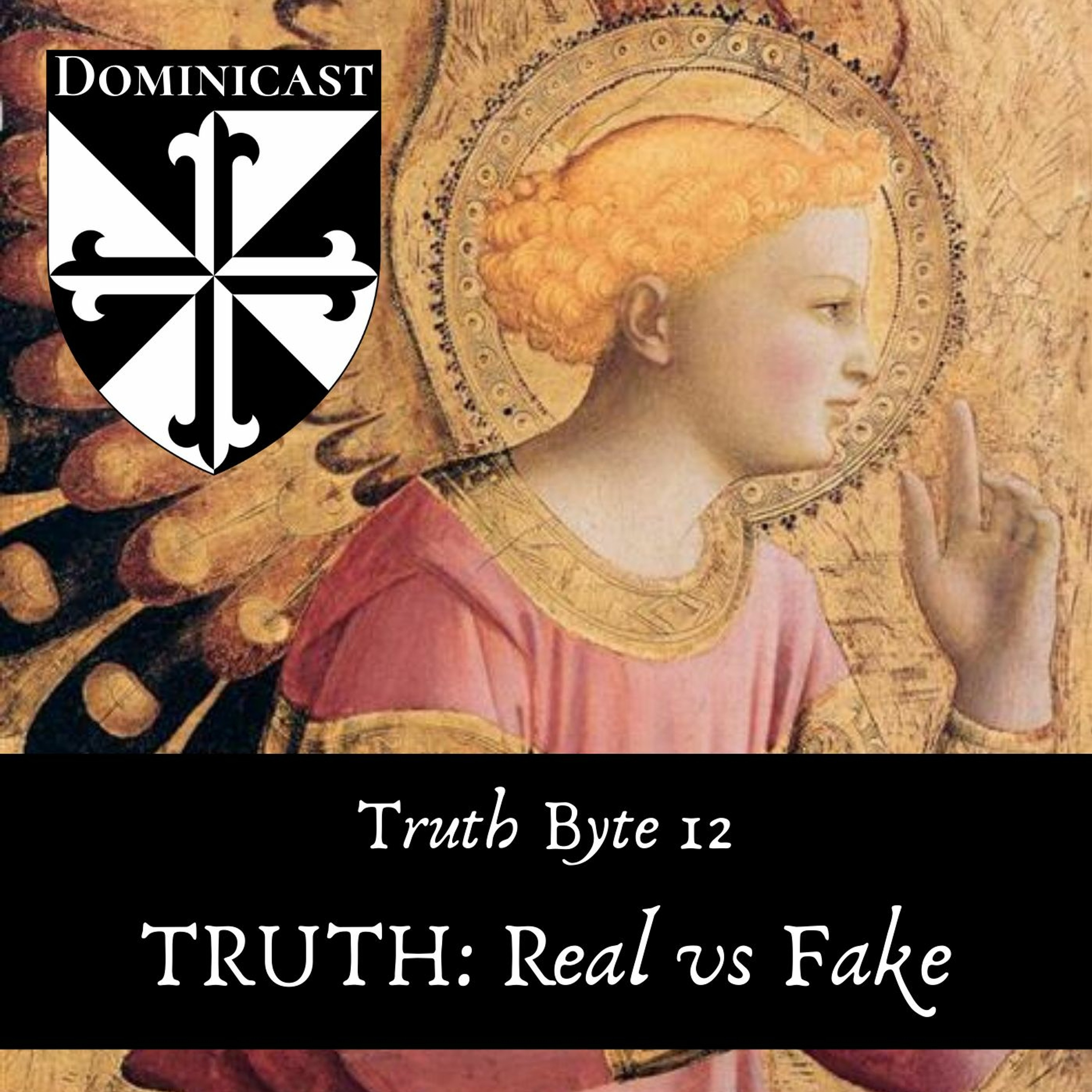 Truth: Real vs Fake - Truth Byte 12