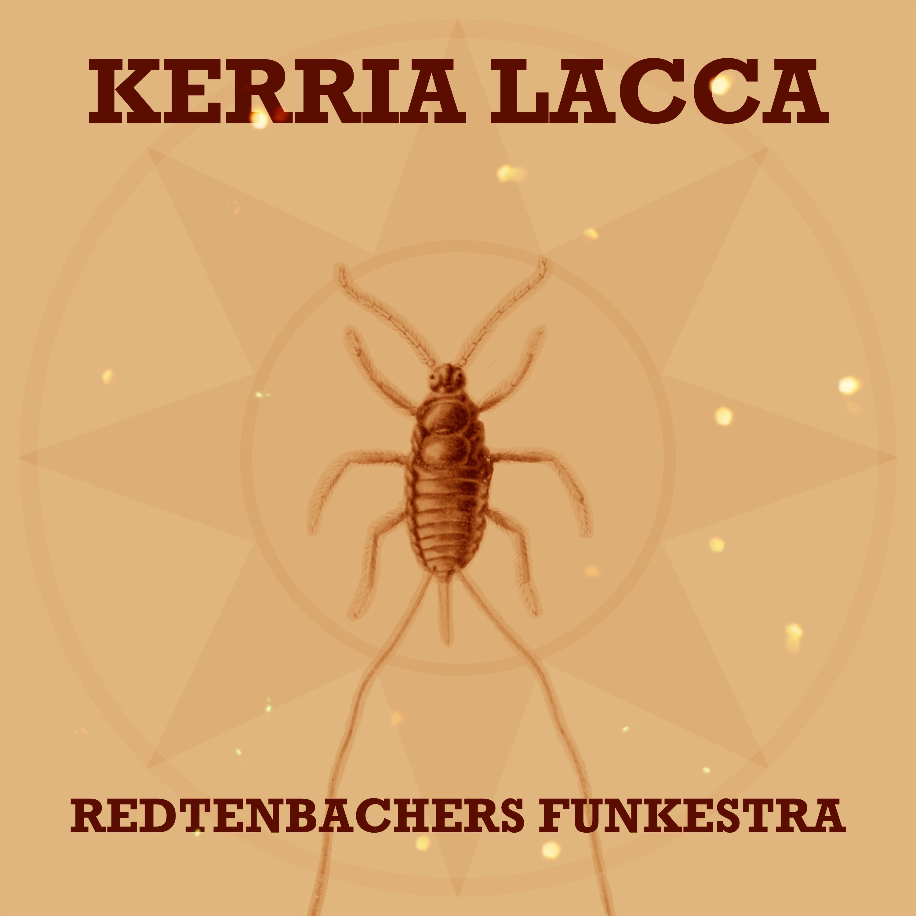 Redtenbacher\'s Funkestra