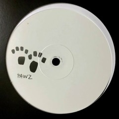 PAWSA - FUNKY BROTHER (Original Mix) [PAWZ015]