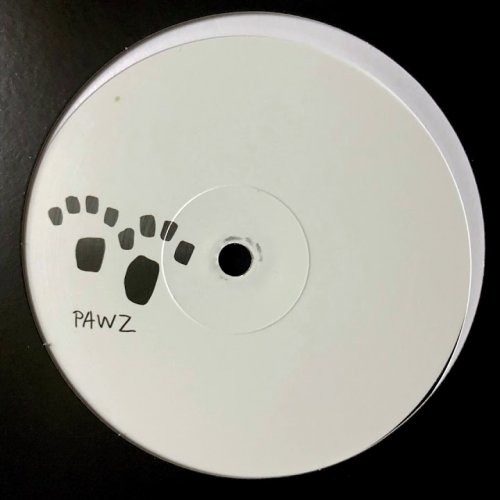 PAWSA - FUNKY BROTHER (Original Mix) [PAWZ015]