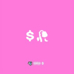 Ptmsunny - What You Want