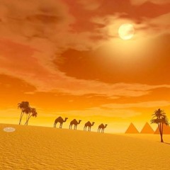 Toxic Desert