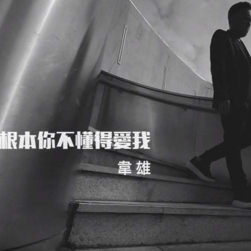 韋雄 - 根本你不懂得愛我 Ft.軒&XiaoHao Remix