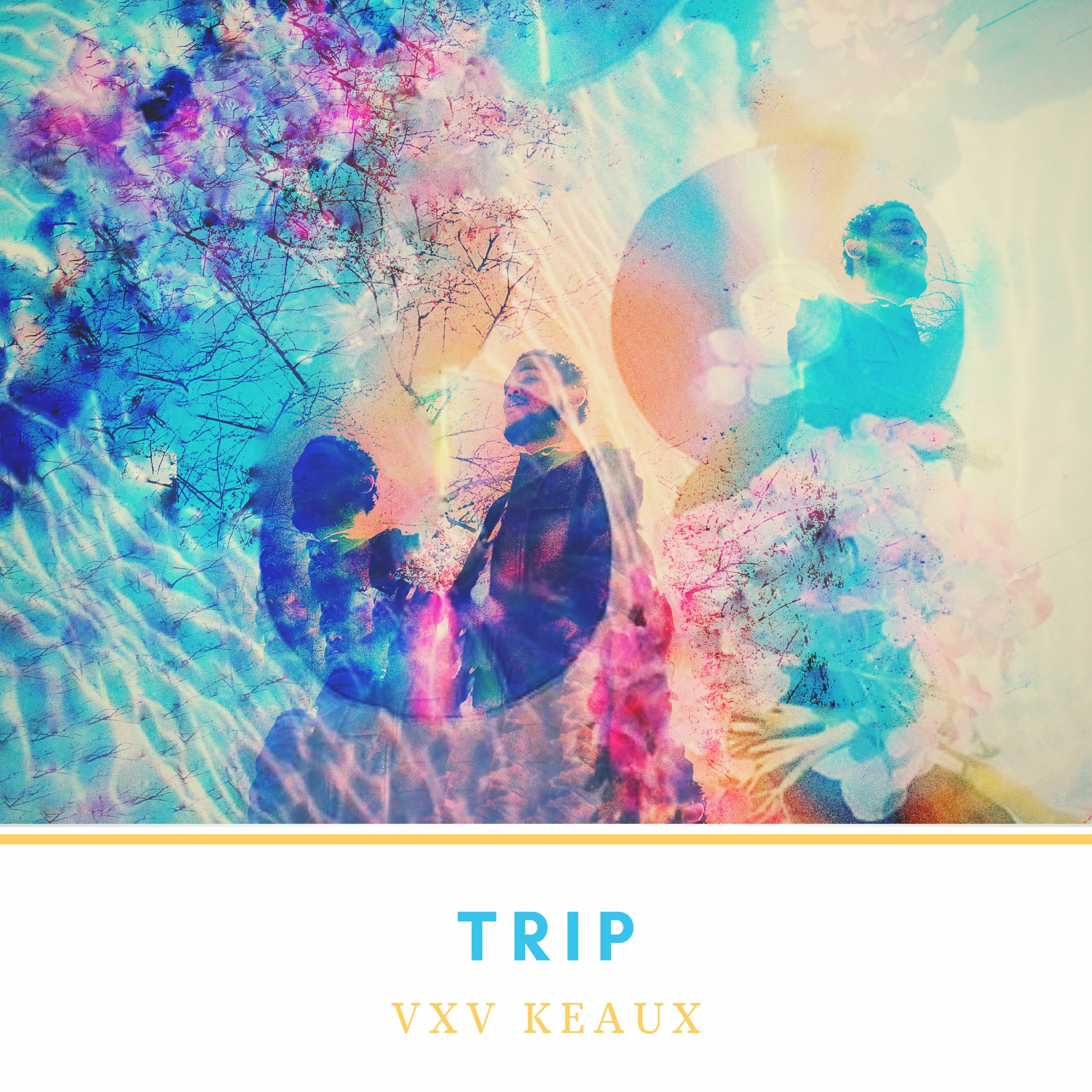Trip episode artwork