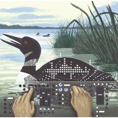 Goth Duck Disco