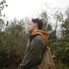 Mercy (a BIRDLAND B-Side)