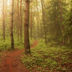 Ian Cognito - Seeking Solace