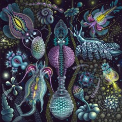 CREATURES OF HABIT