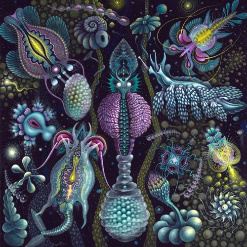 CREATURES OF HABIT