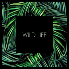 Simba x Kevin Hunter - Jungle Life (emerald's 128 - 140 Beastmode)