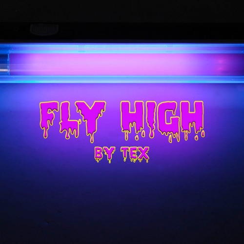 Fly High