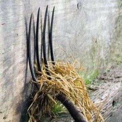 بير لاغركفيست - ضيفٌ على الواقع