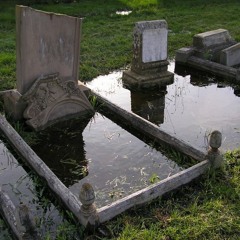 I CANT GO BACK HOME I LOST MY BACKBONE :'c