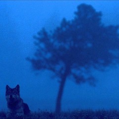 Blue Light – Bloc Party