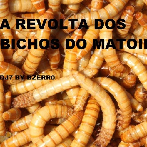 A REVOLTA DOS BICHOS DO MATO II (190BPM - 305BPM)
