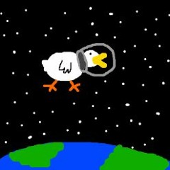 Space Duck