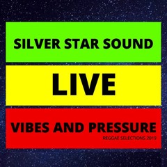 Silver Star Sound Live At Vibes And Pressure 2019