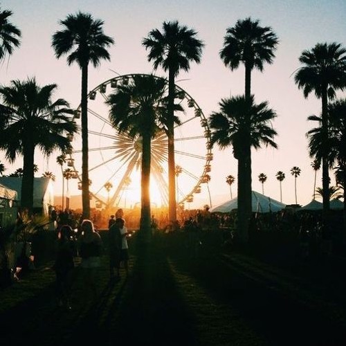 The Upload summer vibes