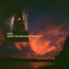 Great Gig Mega-Mix Track