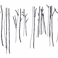 Berries And Flowers (Magnetic Field)