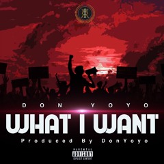 DonYoyo - What I Want (prod. by DonYoyo)