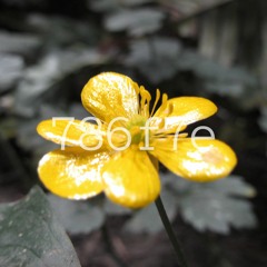 what is wrong with the world