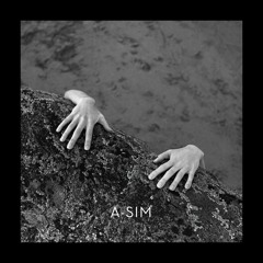 [Premiere] A-Sim - Where Is The Pause Button? (out on Eddy Larkin)