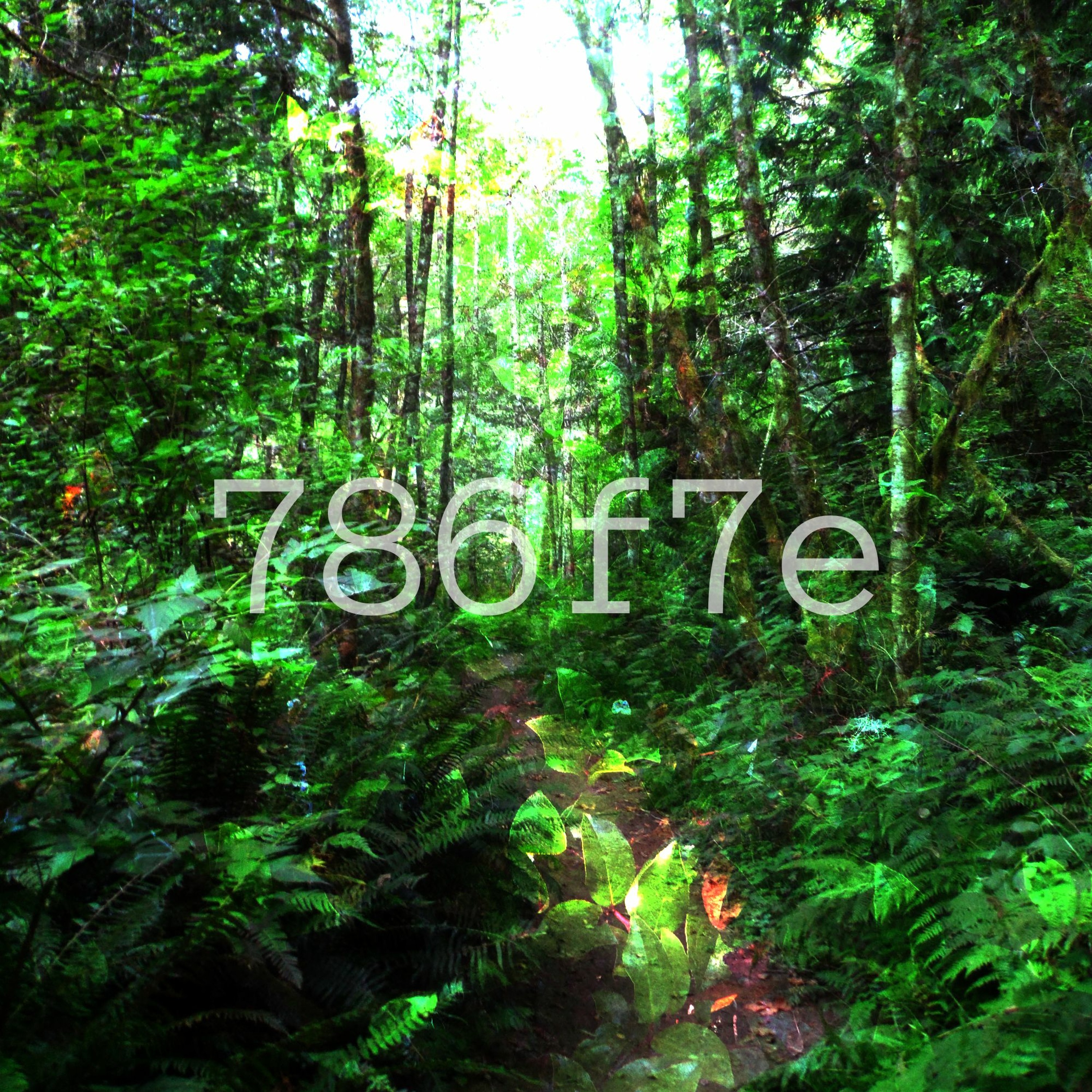 the mycelium problem episode artwork