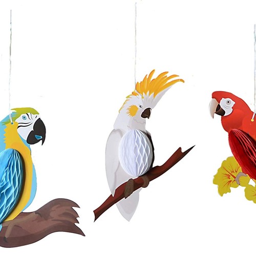 flap flap