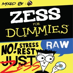Zessing For Dummies