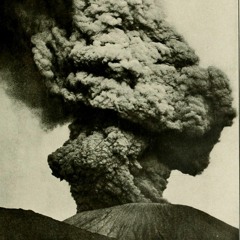 Soleil noir & pluie d'hiver