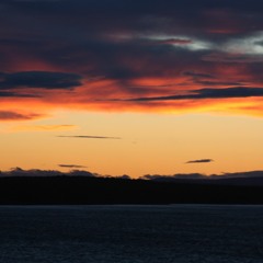 girl from Ipanema cover