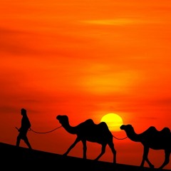 الهروب - وائل الفشني