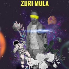 Zuri Mula "Paranoid"