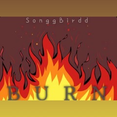 SonggBirdd - Burn