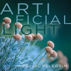 Artificial Light