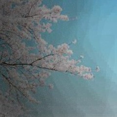blooming garden