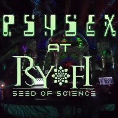 Psysex Set @ Psy Fi 2019